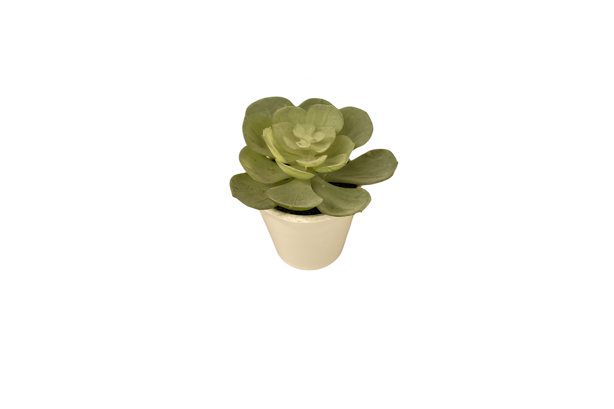 Succulent Stonecrop Artificial